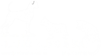 Djurö Hund & Katt